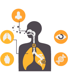 미세먼지가 인체에 미치는 영향